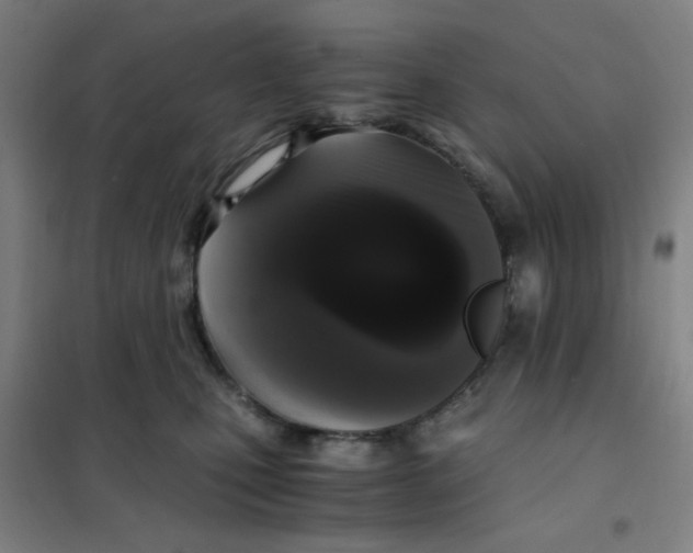 X0000101410471200808041109
