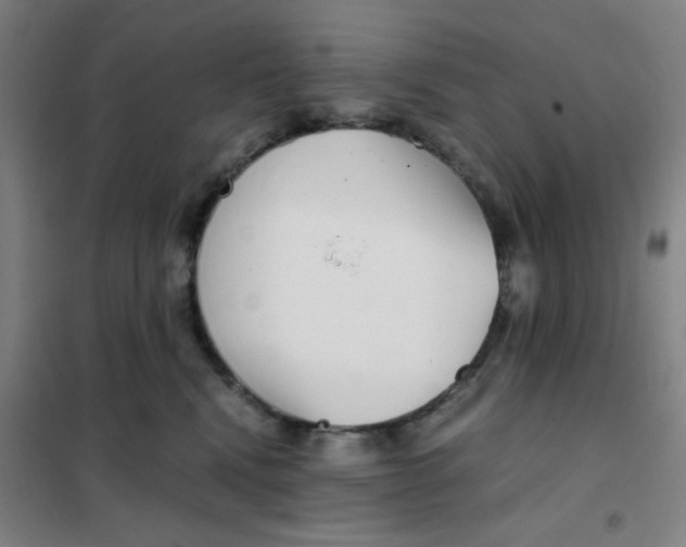 X0000101410472200808041109