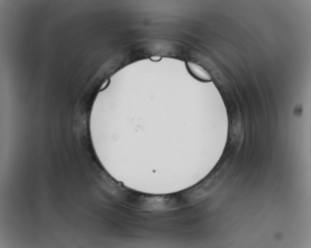 X0000101410473200808041109