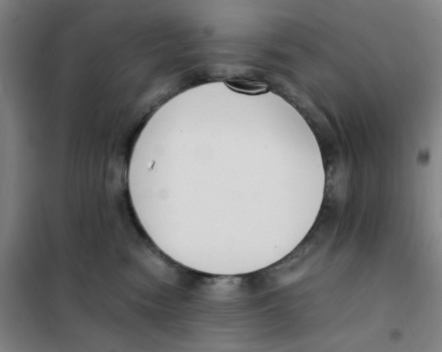 X0000101410474200808041109