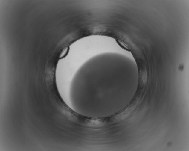X0000101410475200808041109
