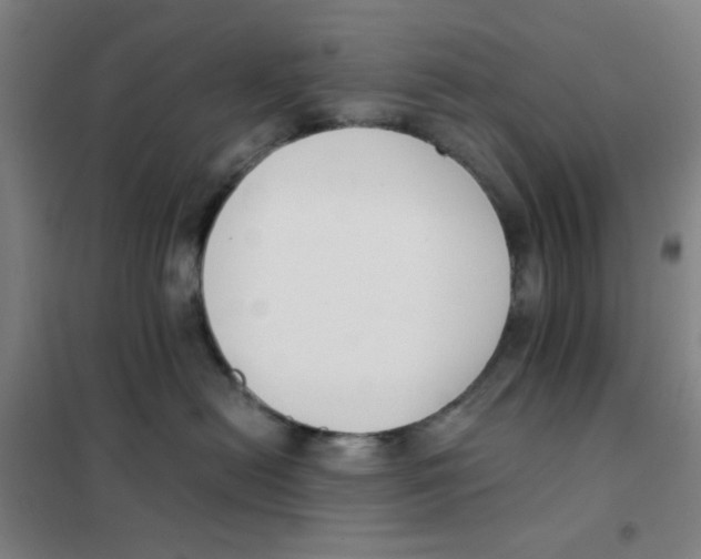 X0000101410478200808041109