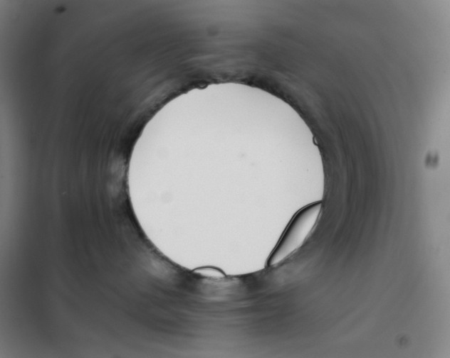 X0000101410480200808041109