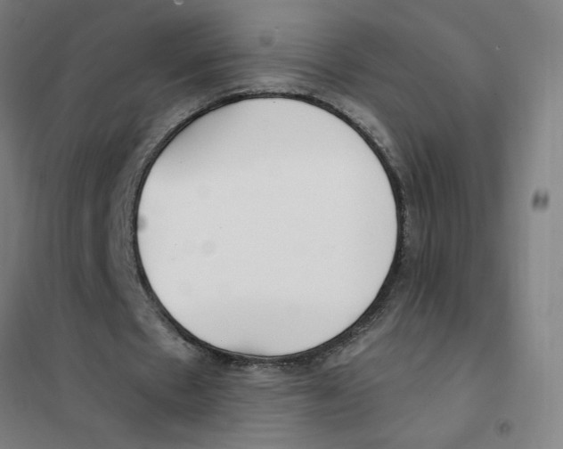 X0000101410481200808041108