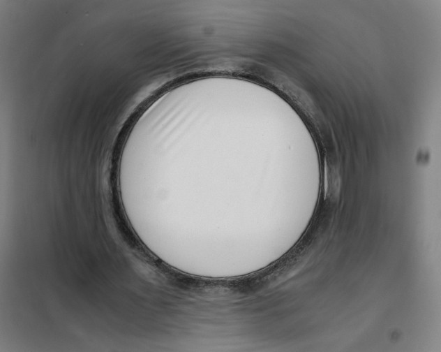 X0000101410483200808041108