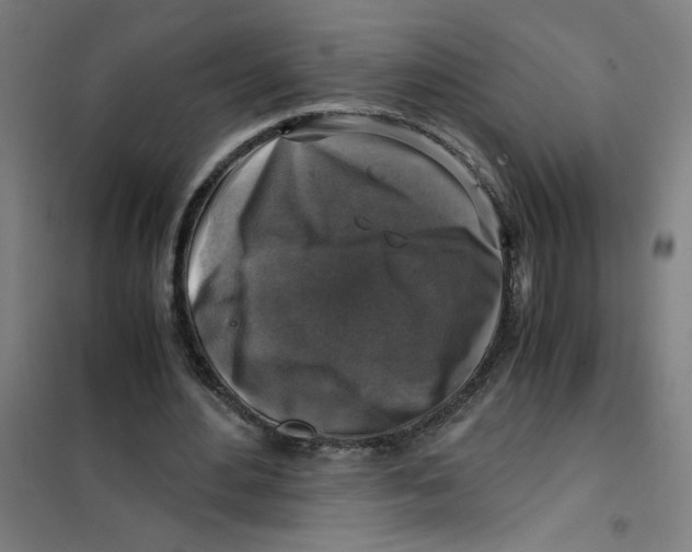 X0000101410484200808041108