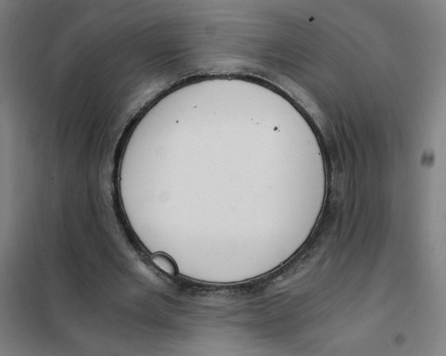 X0000101410485200808041108