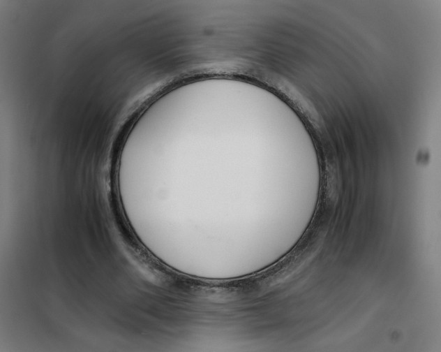 X0000101410486200808041108