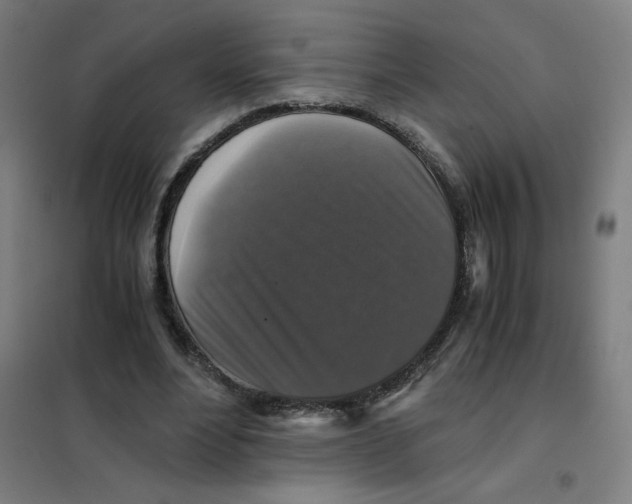 X0000101410488200808041108