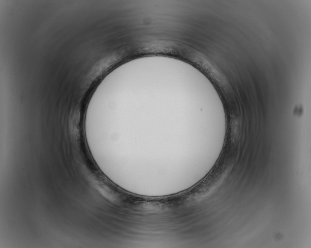 X0000101410490200808041108