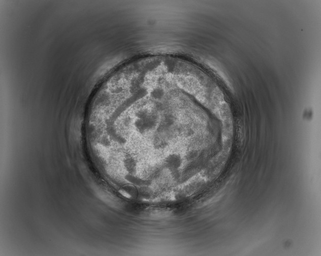 X0000101410491200808041108