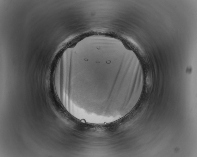X0000101410492200808041108