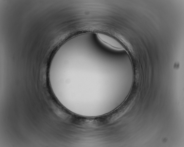 X0000101410493200808041108