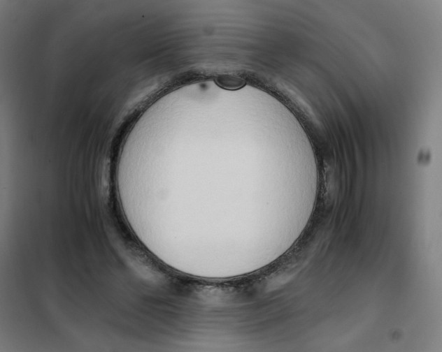 X0000101410494200808041108