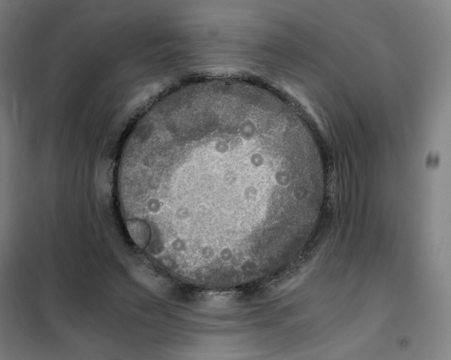 X0000101410495200808041108