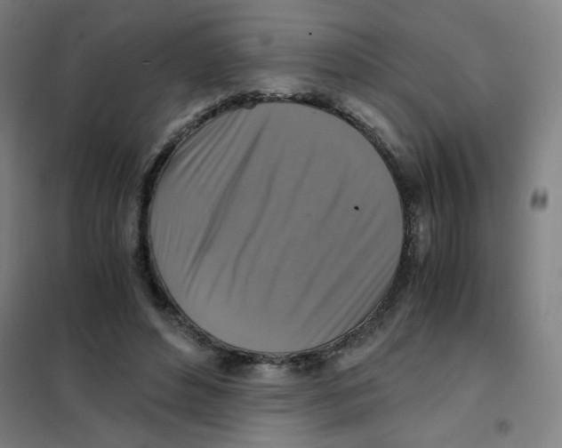 X0000101410496200808041108