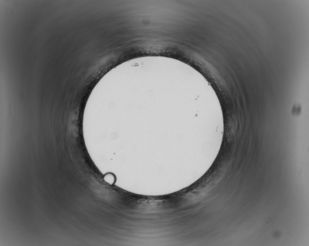 X0000101410497200808041108