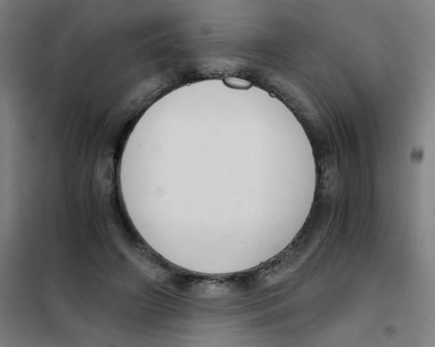 X0000101410498200808041108