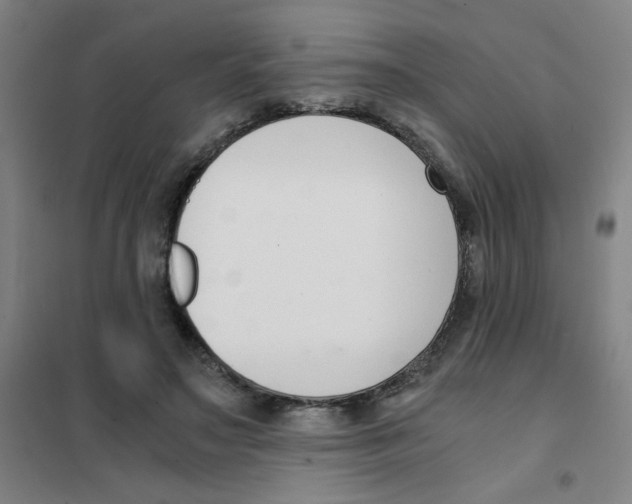 X0000101410499200808041108