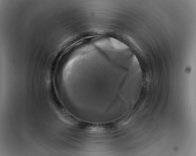 X0000101410500200808041108