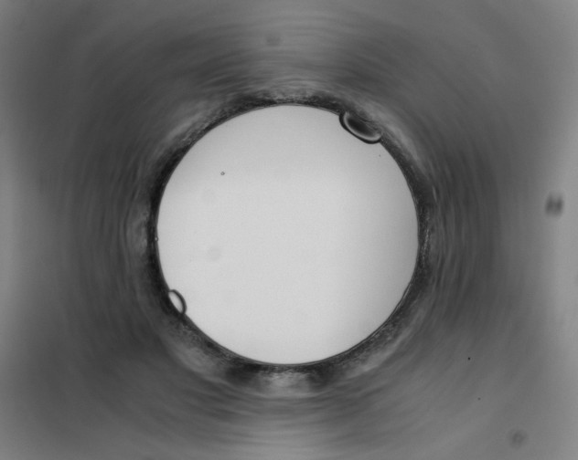 X0000101410501200808041108