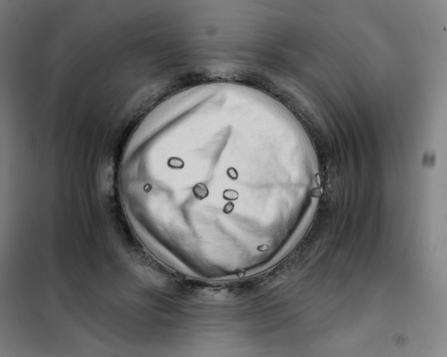 X0000101410502200808041108