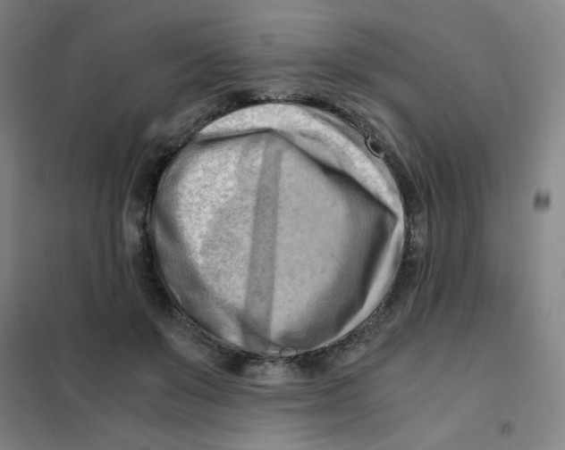 X0000101410503200808041107