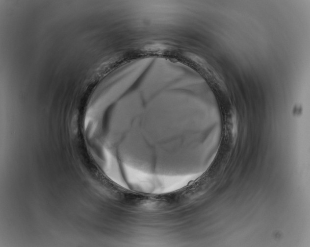 X0000101410504200808041107