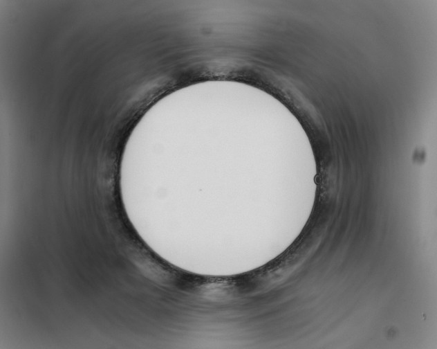 X0000101410505200808041107