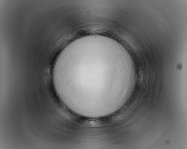 X0000101410506200808041107
