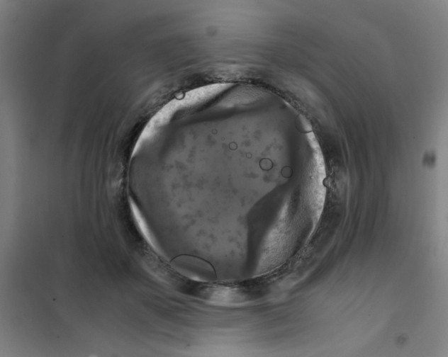 X0000101410507200808041107