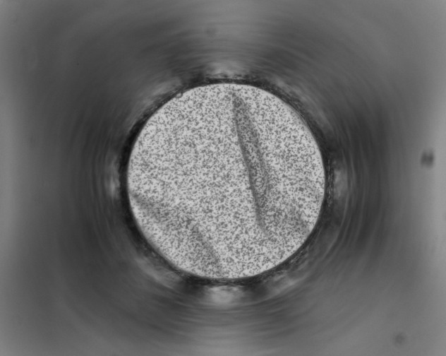 X0000101410508200808041107