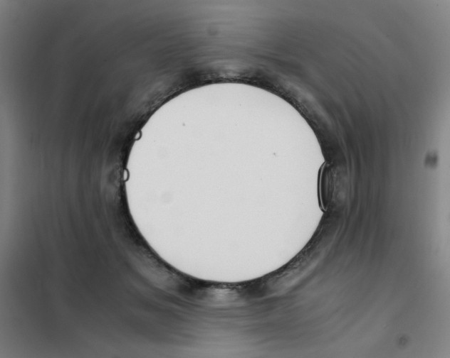 X0000101410509200808041107