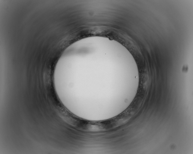 X0000101410510200808041107