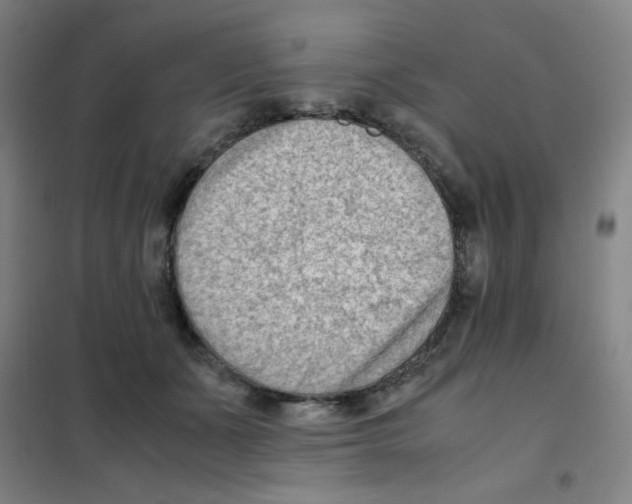 X0000101410511200808041107