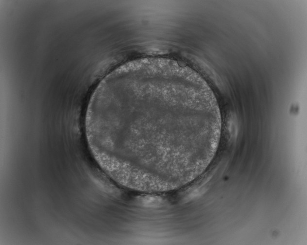 X0000101410512200808041107