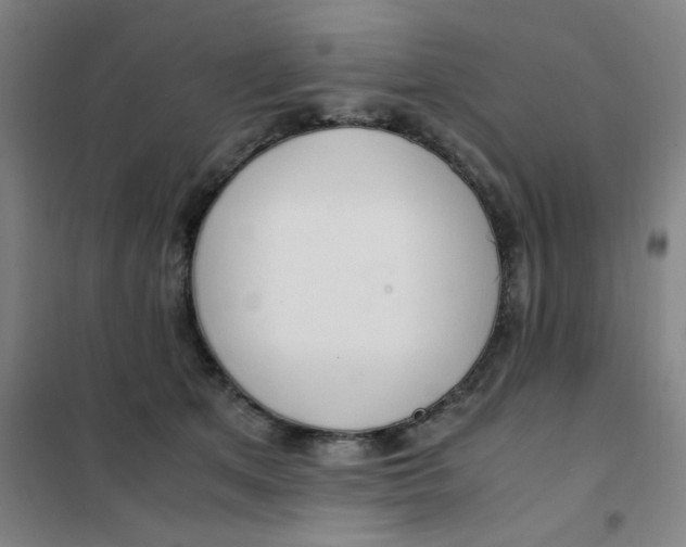 X0000101410513200808041107