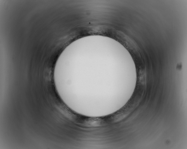 X0000101410514200808041107