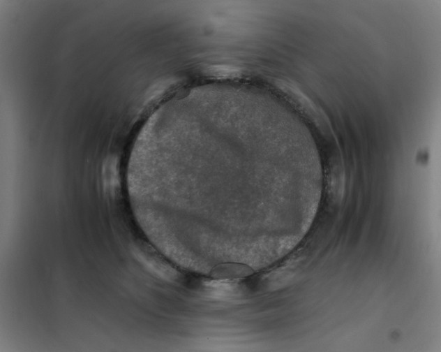 X0000101410516200808041107