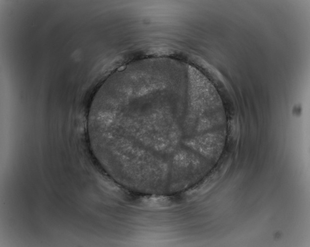 X0000101410517200808041107