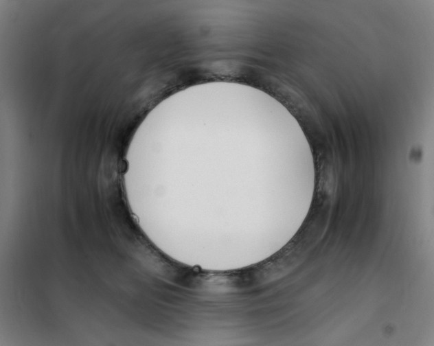 X0000101410518200808041107