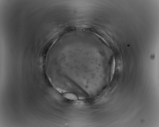 X0000101410519200808041107