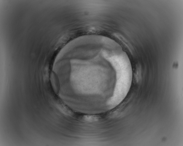X0000101410520200808041107