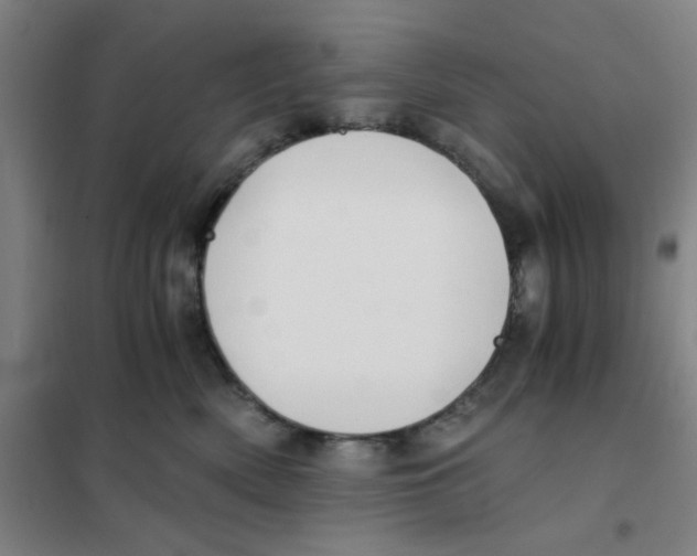 X0000101410522200808041107