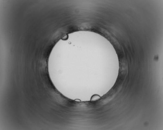 X0000101410523200808041107