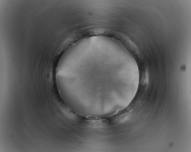 X0000101410524200808041107