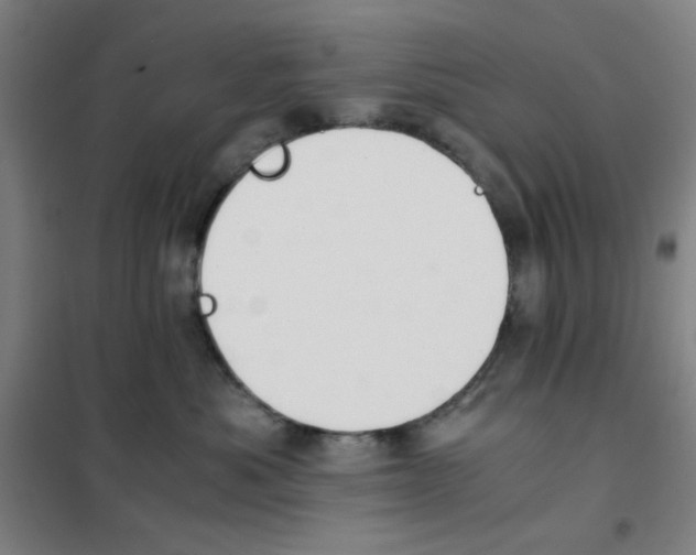 X0000101410525200808041107