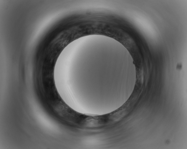 X0000101410526200808041107