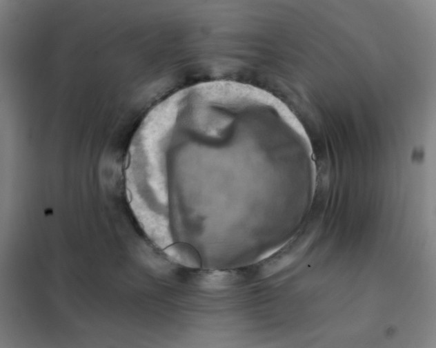 X0000101410527200808041107