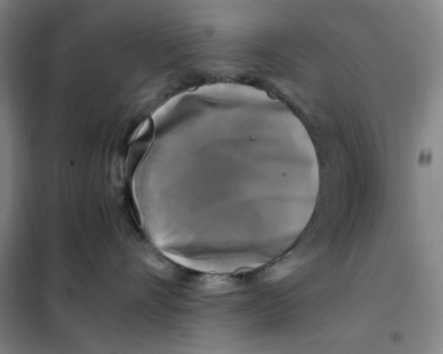 X0000101410528200808041107